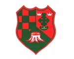 PAVIORS RFC